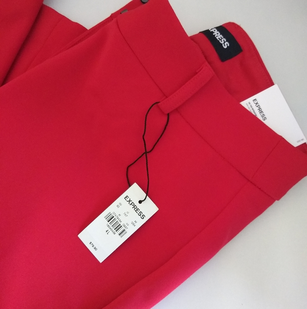 NWT Express Skinny High Rise Stretch plus pants